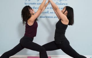Pulsation Yoga - Yoga for Chicago's Northwest Suburbs